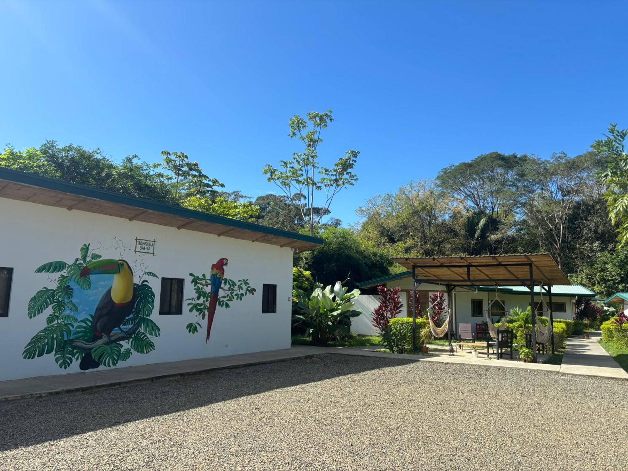 Bambura Bahia *