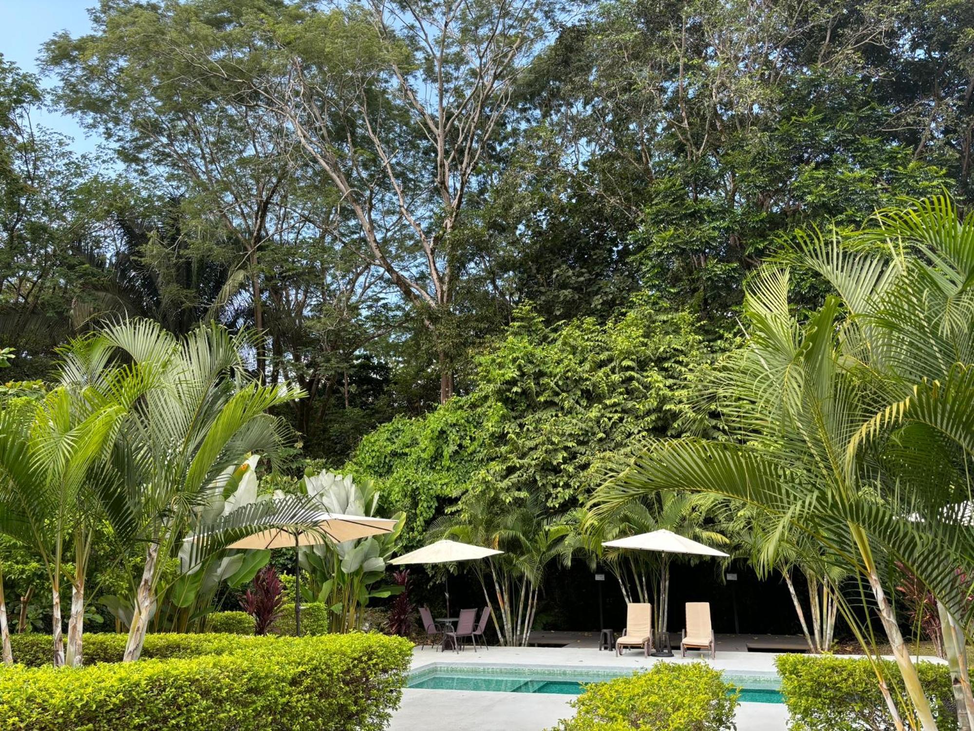 Appartement Bambura Bahia Uvita