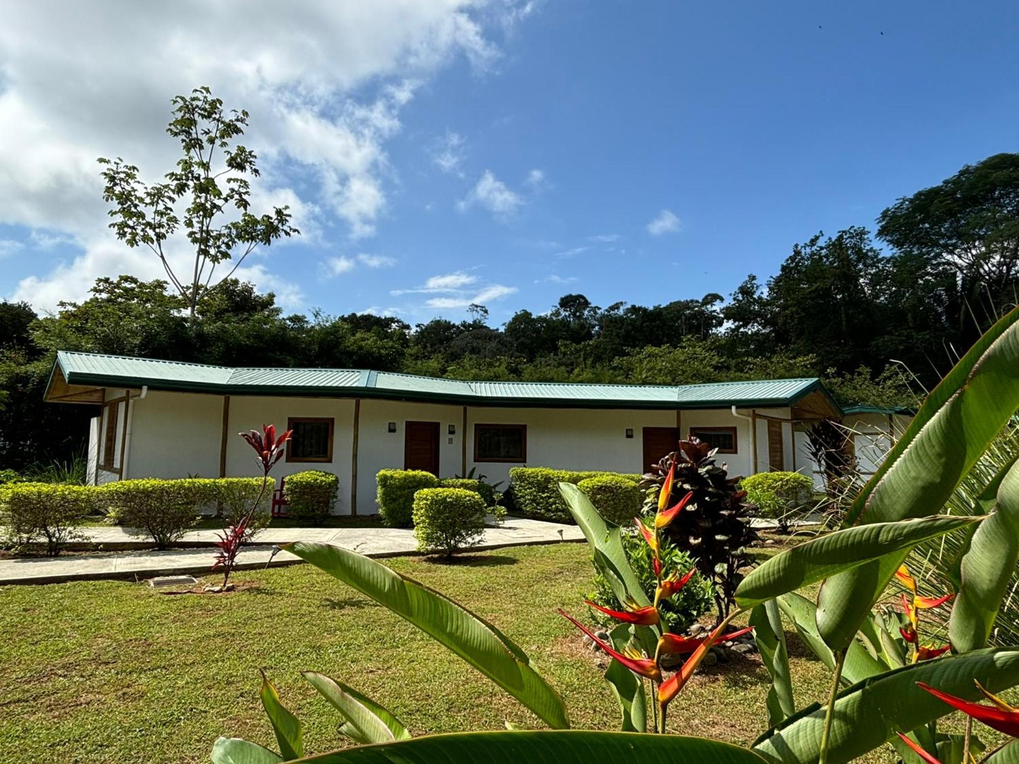 Bambura Bahia